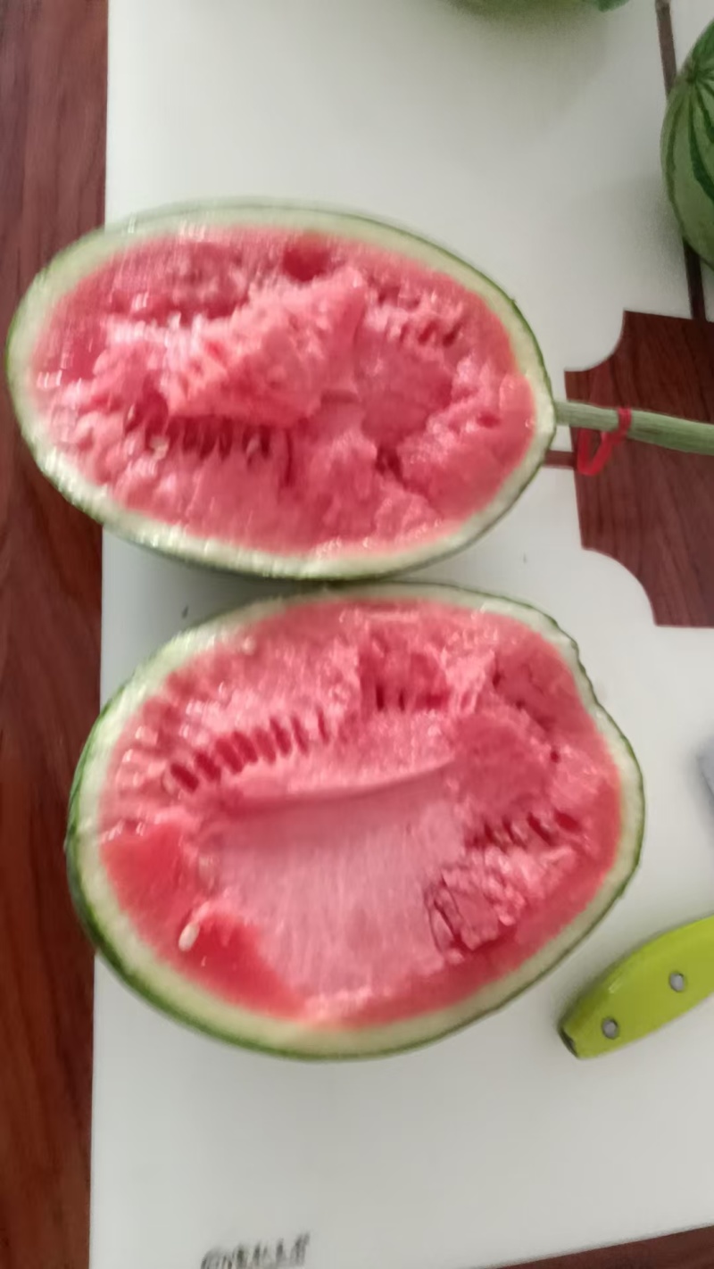 全美2k西瓜吊瓜大量有货可发全国价格可谈