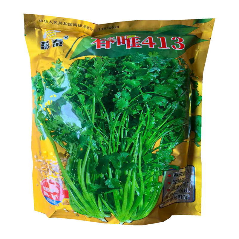 四季香菜种子春唯413耐热43度高产耐抽薹铁杆芫荽种子