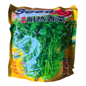 美国耐热香菜种子耐热43°C大叶芫荽种子四季铁杆
