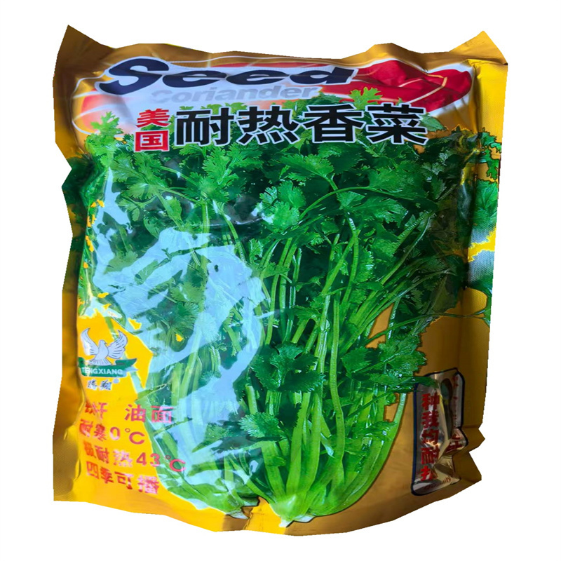 美国耐热香菜种子耐热43°C大叶芫荽种子四季铁杆