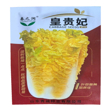 皇贵妃白菜种子鸡蛋黄白菜种子高产黄心大白菜种子