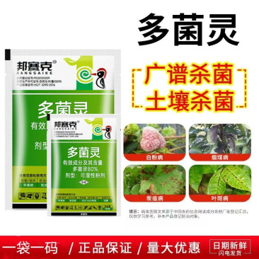 80%多菌灵农药园艺植物多肉烂根腐烂病预防保护杀菌
