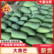 云南大青芒果，青皮金煌芒大芒果，品质保证，量大价格更优