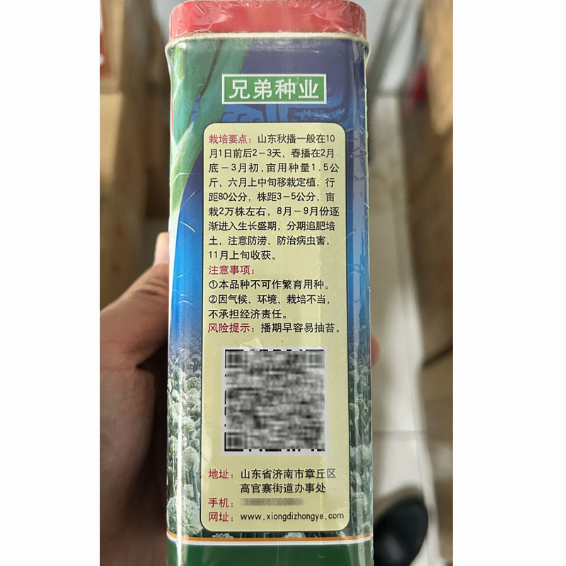章丘大葱种子大梧桐傲霜80白黑叶形高产粗壮抗病抗倒