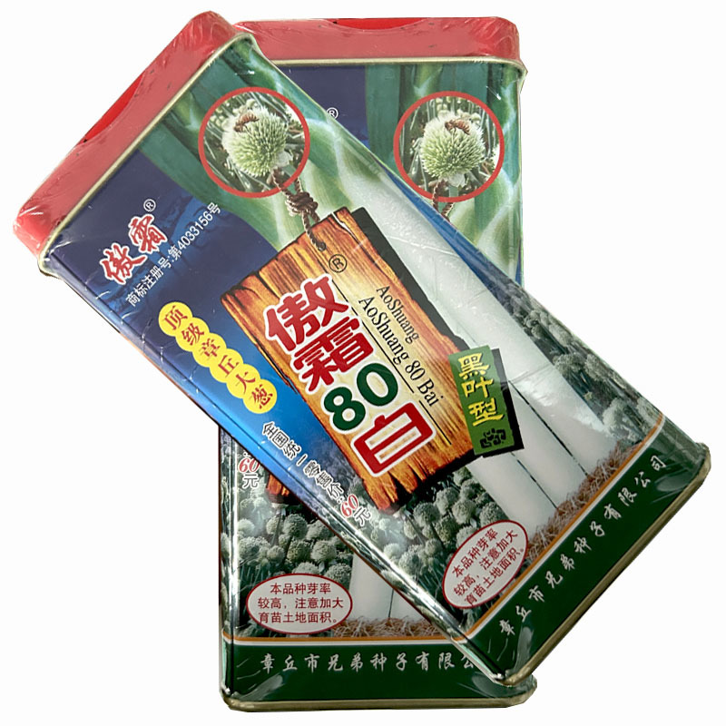章丘大葱种子大梧桐傲霜80白黑叶形高产粗壮抗病抗倒