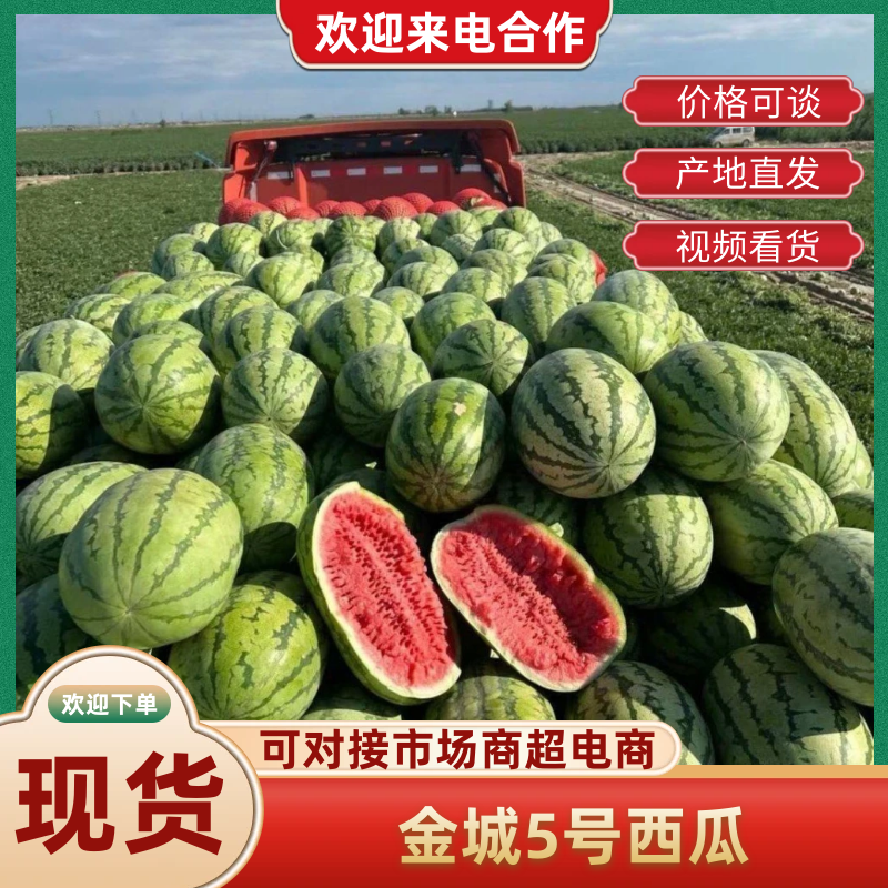 榆林金城5号西瓜定边西瓜皮薄多汁耐运输包熟包甜