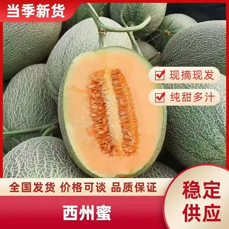 甘肃西州蜜瓜大量现货供应，口感好糖度高，价格可谈欢迎电联