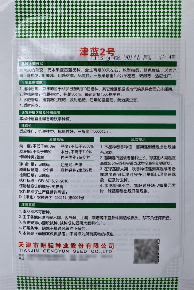 津蓝2号水果丕蓝种子球茎鲜绿扁圆口感甜脆杂交青丕兰种籽