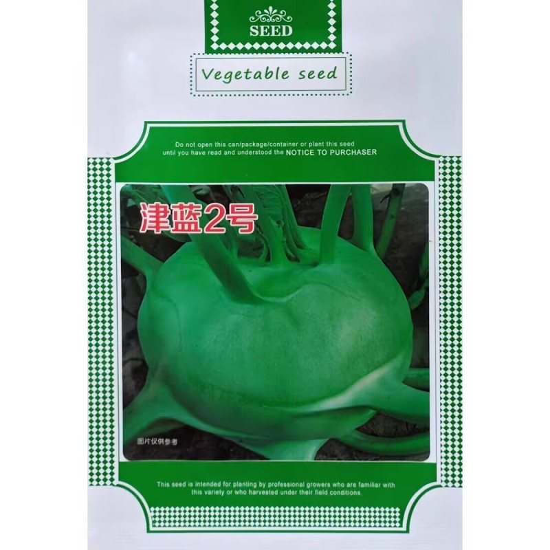 津蓝2号水果丕蓝种子球茎鲜绿扁圆口感甜脆杂交青丕兰种籽
