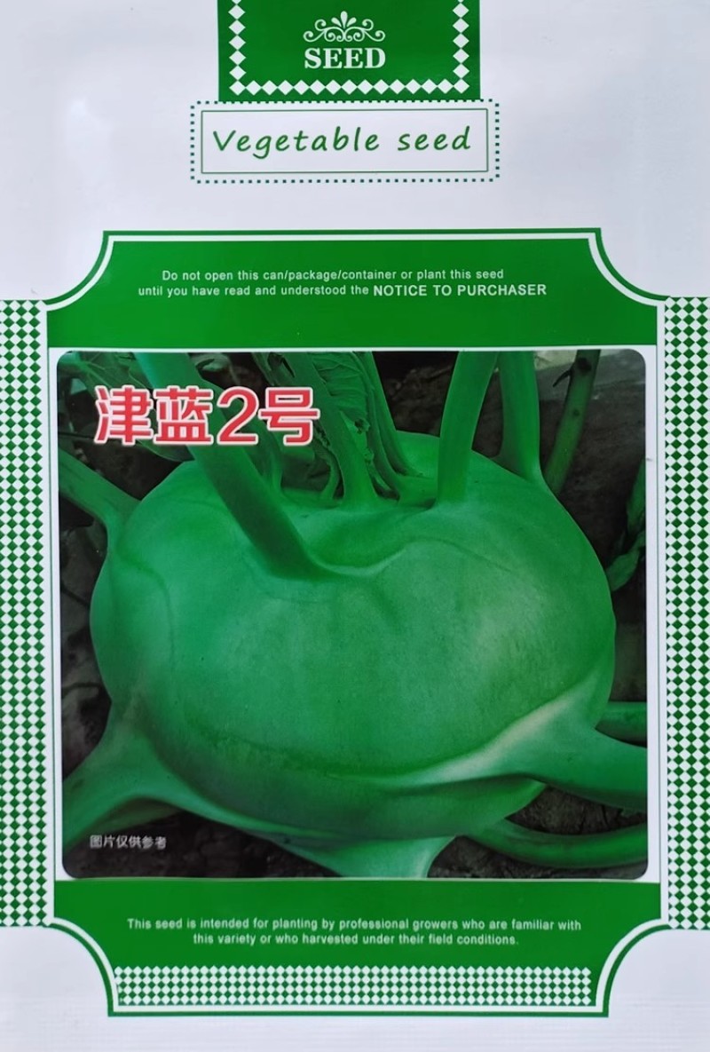 津蓝2号水果丕蓝种子球茎鲜绿扁圆口感甜脆杂交青丕兰种籽