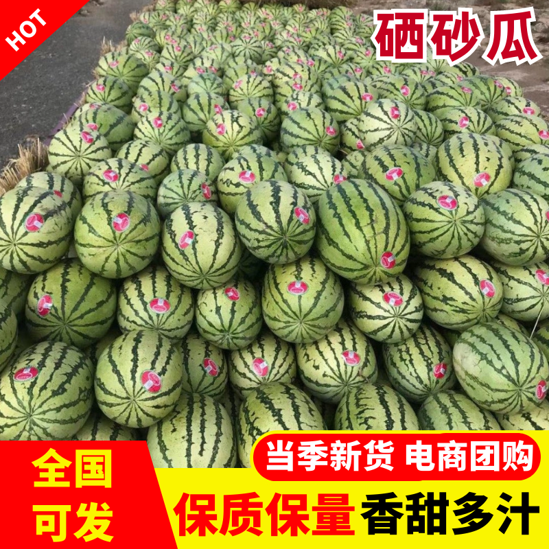 硒砂瓜宁夏石头瓜产地直发质量三包对接全国商超市场