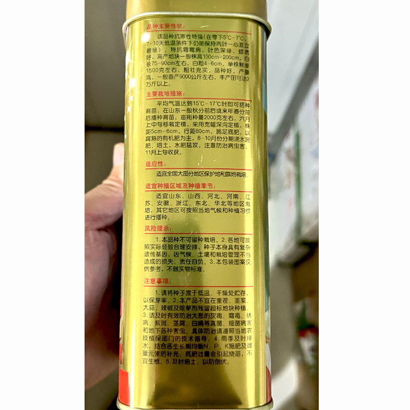 金杆大梧桐章丘大葱种子200g耐寒性强叶色浓绿大田基地