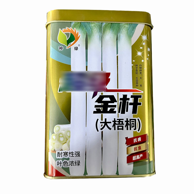 金杆大梧桐章丘大葱种子200g耐寒性强叶色浓绿大田基地