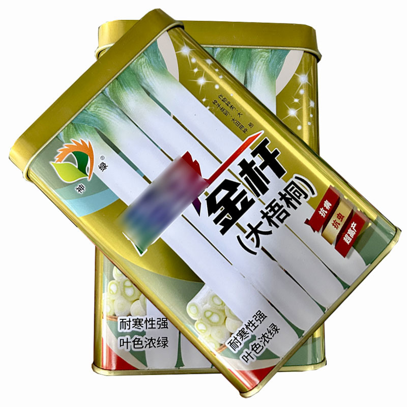 金杆大梧桐章丘大葱种子200g耐寒性强叶色浓绿大田基地