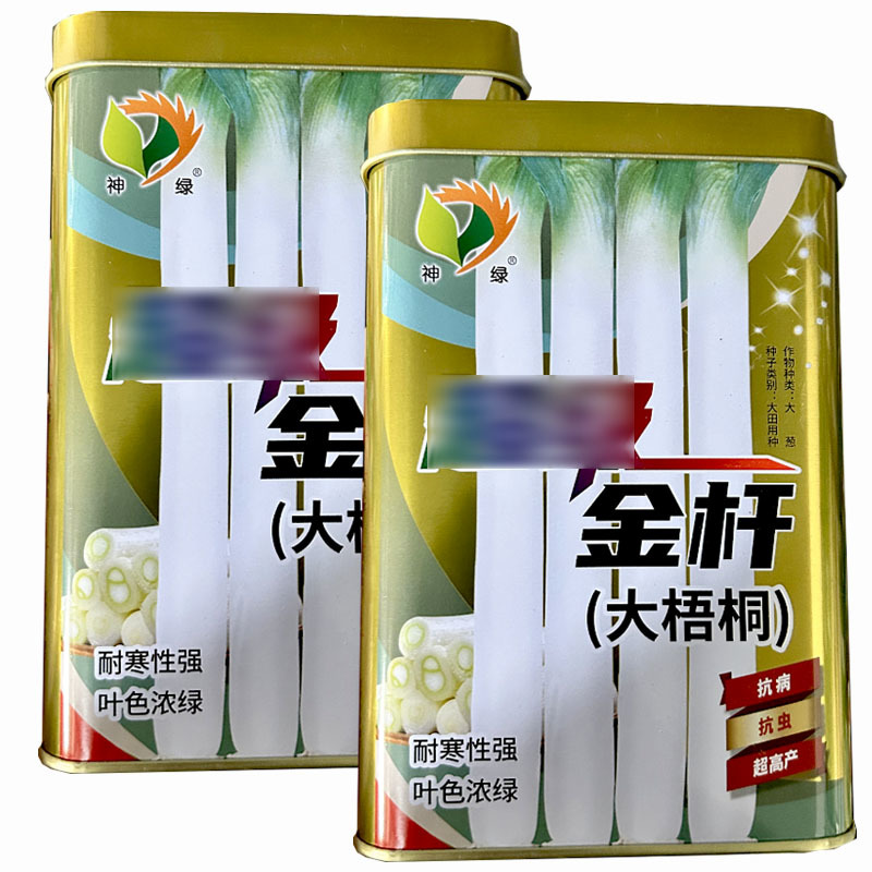 金杆大梧桐章丘大葱种子200g耐寒性强叶色浓绿大田基地