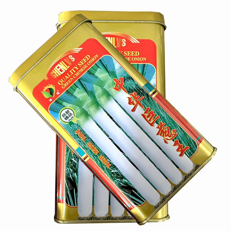 中华巨葱王大葱种子200g葱白长生长速度快出菜率高基地种