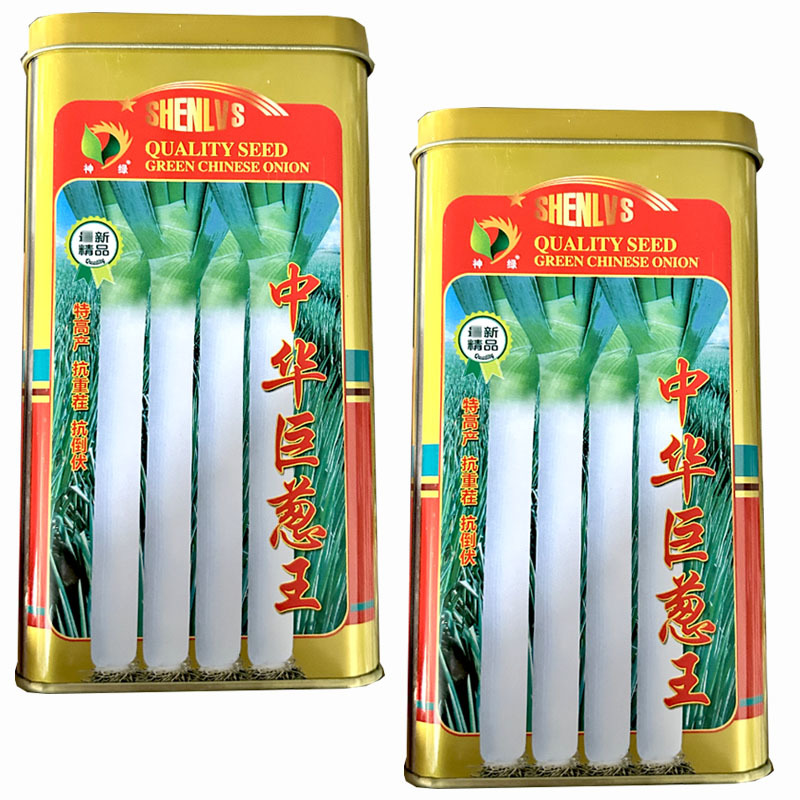 中华巨葱王大葱种子200g葱白长生长速度快出菜率高基地种