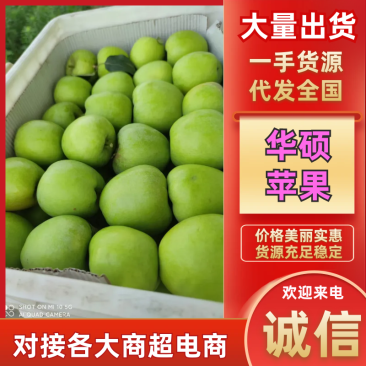 山东华硕苹果产地一手货源，大吨位供货，对接全国电商市场