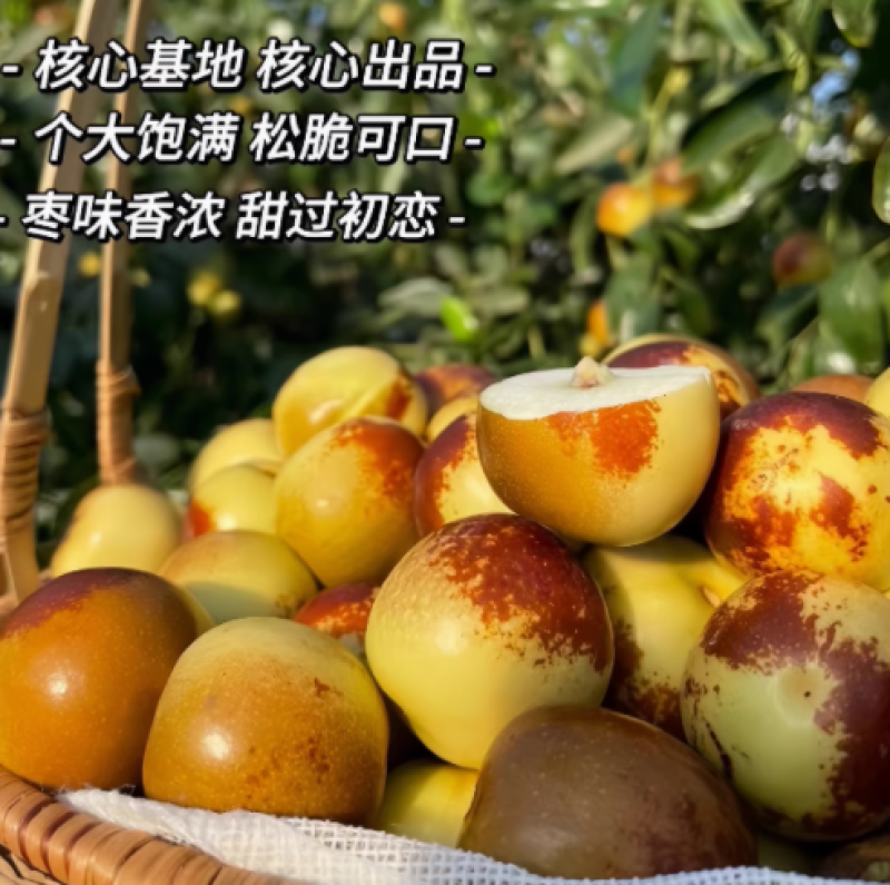 正宗陕西大荔冬枣新鲜大枣脆甜多汁个大饱满松脆可口核小肉厚