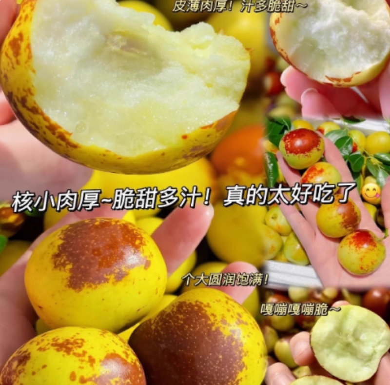 正宗陕西大荔冬枣新鲜大枣脆甜多汁个大饱满松脆可口核小肉厚