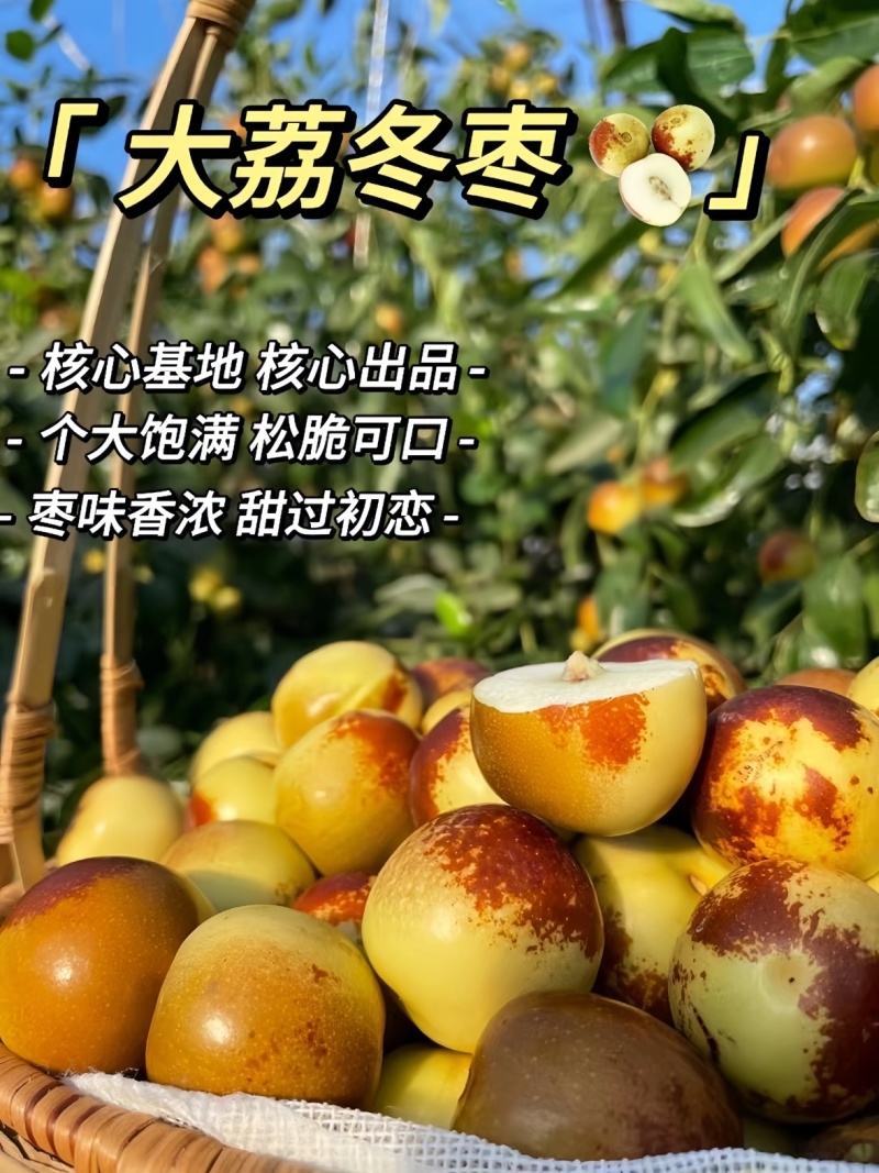 正宗陕西大荔冬枣新鲜大枣脆甜多汁个大饱满松脆可口核小肉厚