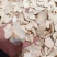 天花粉中药材批发无硫大货批发一手货源