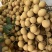 【实力推荐】石峡龙眼大量走货一手货源欢迎各大老板采购