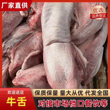 精品牛舌，品质保证，产地直发，诚信经营，欢迎客商来电，