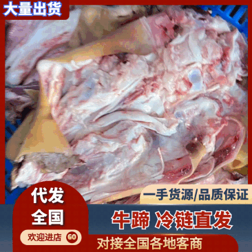 牛蹄骨整骨