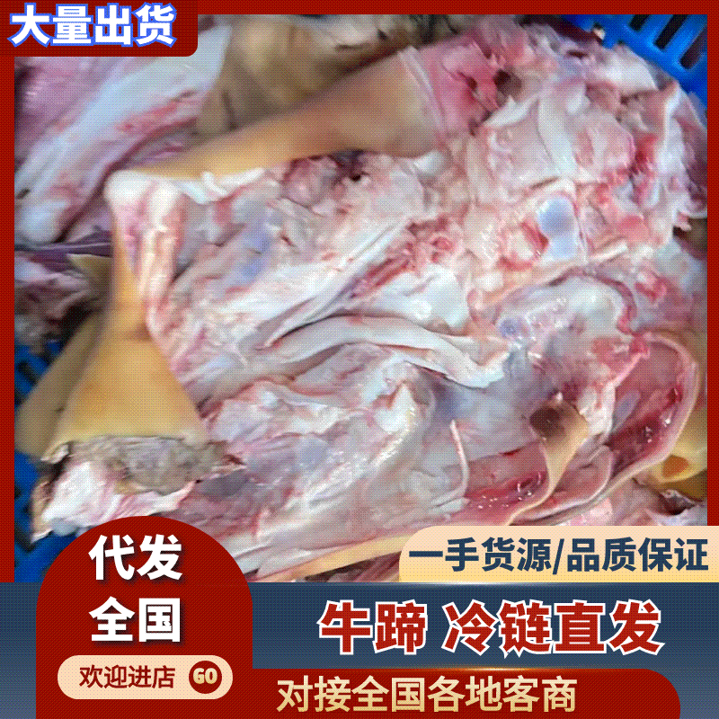 牛蹄骨整骨