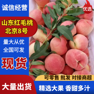 《山东红桃》精品水蜜桃/山东毛桃/离核/日供应5千斤