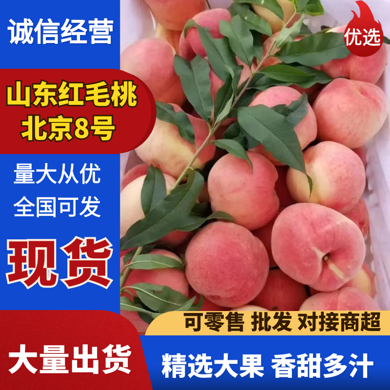 《山东红桃》精品水蜜桃/山东毛桃/离核/日供应5千斤
