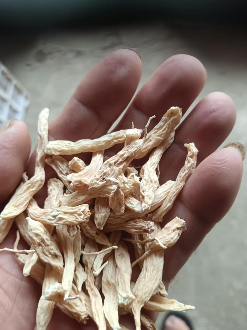 福建麦冬干净无杂质质量保证量大从优欢迎咨询