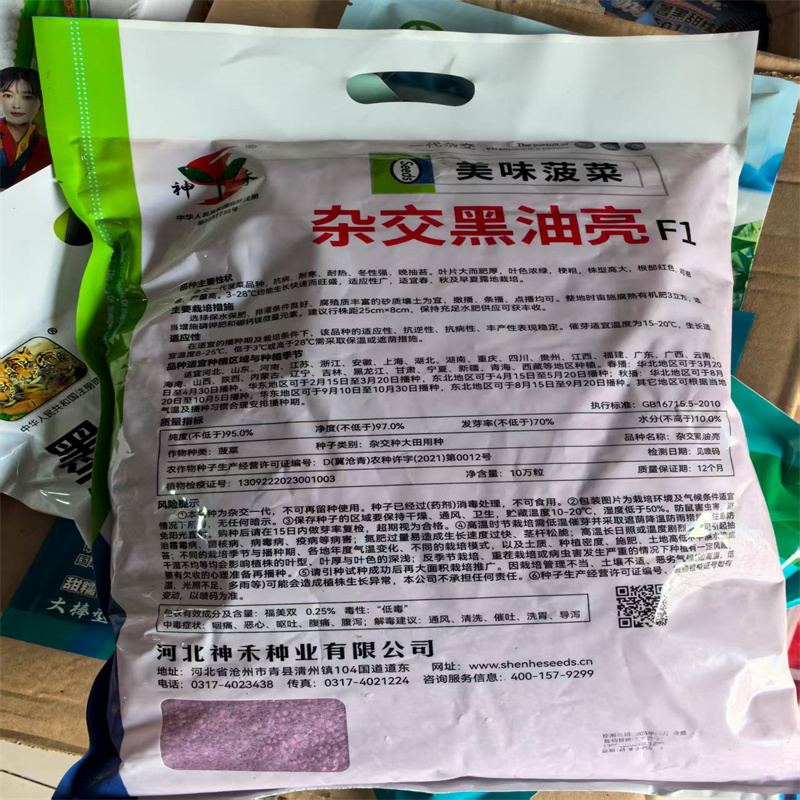 杂交黑油亮菠菜种子抗病耐寒速生高产大叶菠菜种子