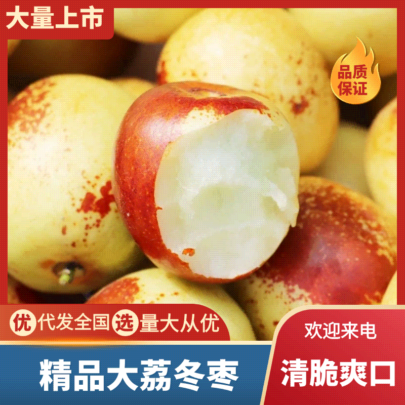 精品大荔鲜枣冬枣，新鲜上市，脆甜可口，可电商市场商超供应