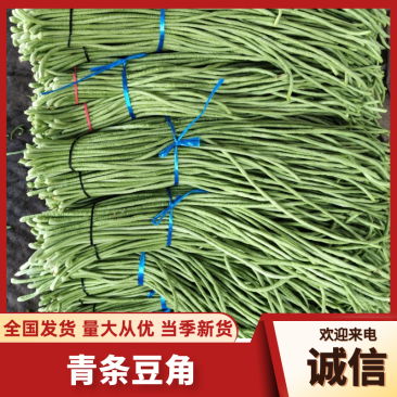 豆角，开封精品长豆角欢迎新老客户实地考察，货发全国