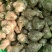 【洋姜】河南三门峡精选洋姜天然种植产地直销可视频看货