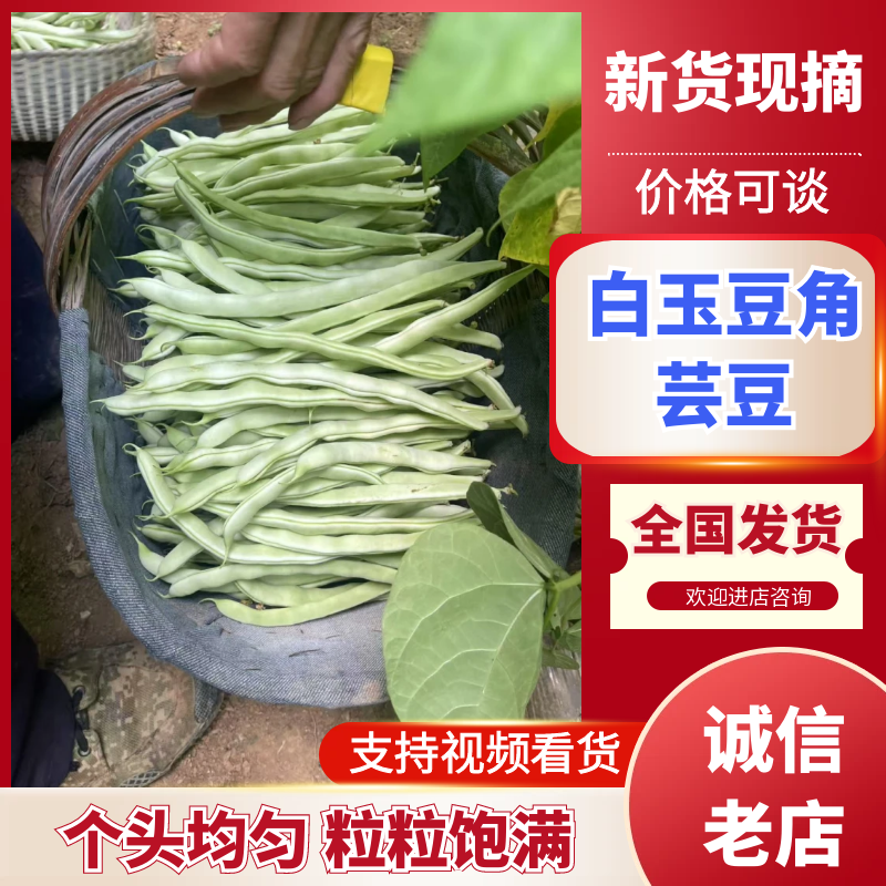 白玉豆角白芸豆对接电商市场商超可视频看货保质保量