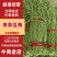 【热卖】精品青条长豆角大量上市中，泡水加冰，产地直发，