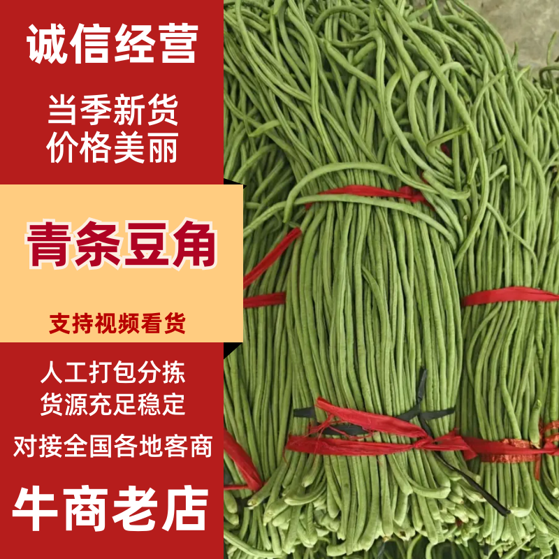 【热卖】精品青条长豆角大量上市中，泡水加冰，产地直发，