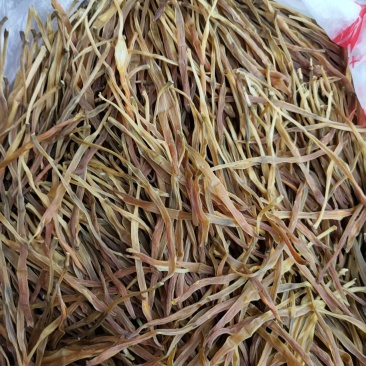 陕西渭南黄花菜枝条黄花菜来电订货量大从优，欢迎合作