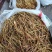 陕西渭南黄花菜枝条黄花菜来电订货量大从优，欢迎合作