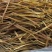 陕西渭南黄花菜枝条黄花菜来电订货量大从优，欢迎合作