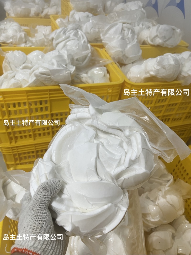 海南鲜老椰肉，精洗货，真空袋包装后速冻保鲜（空运/冷链）厂销