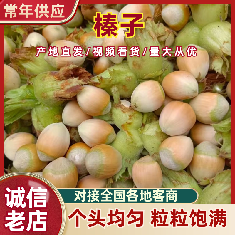 【实力推荐】辽宁平欧大榛子带皮不带皮品类齐全量大从优