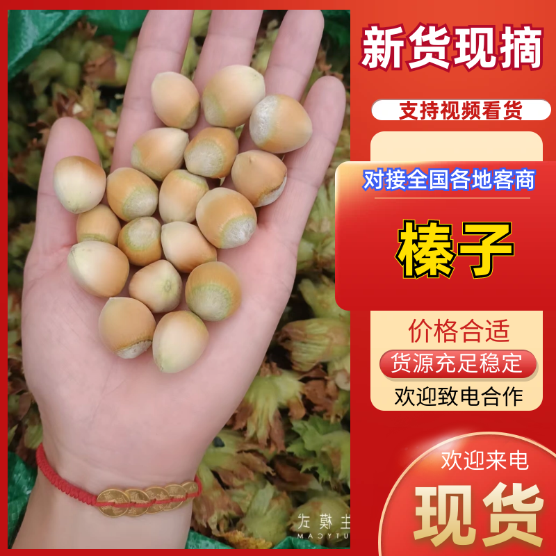 【实力推荐】辽宁平欧大榛子带皮不带皮品类齐全量大从优