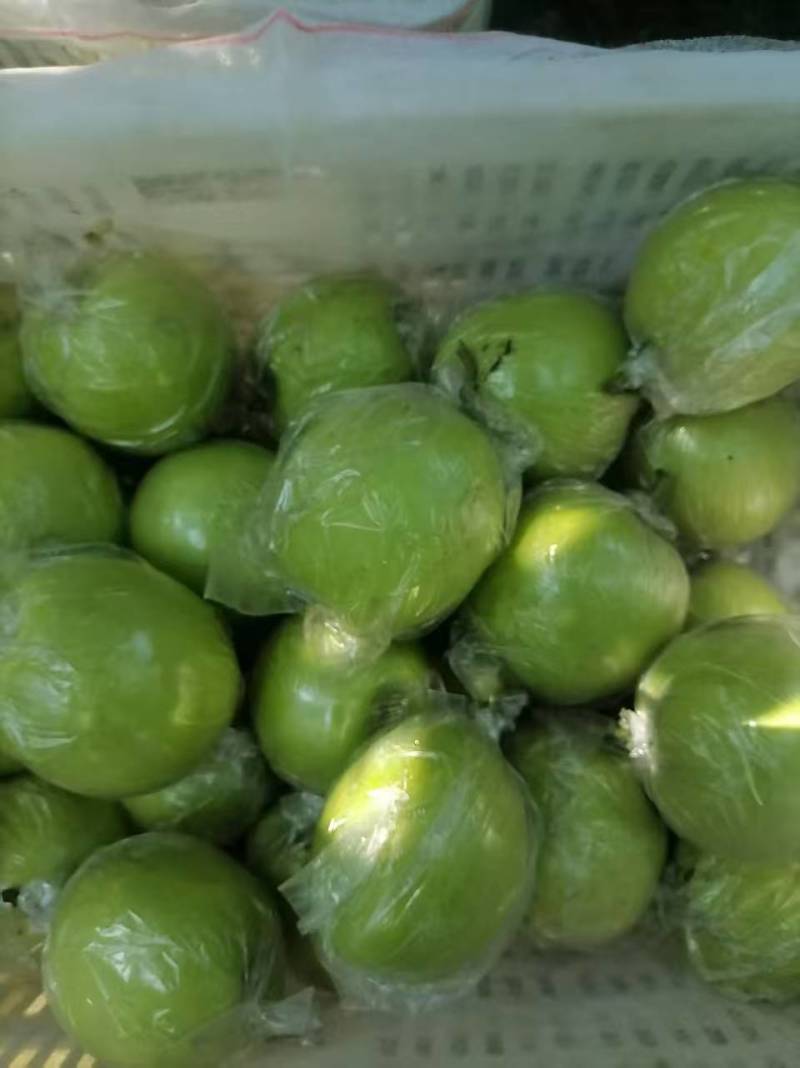 邢台青皮皇冠梨大量有货青皮脆甜基地直供可视频看货欢迎