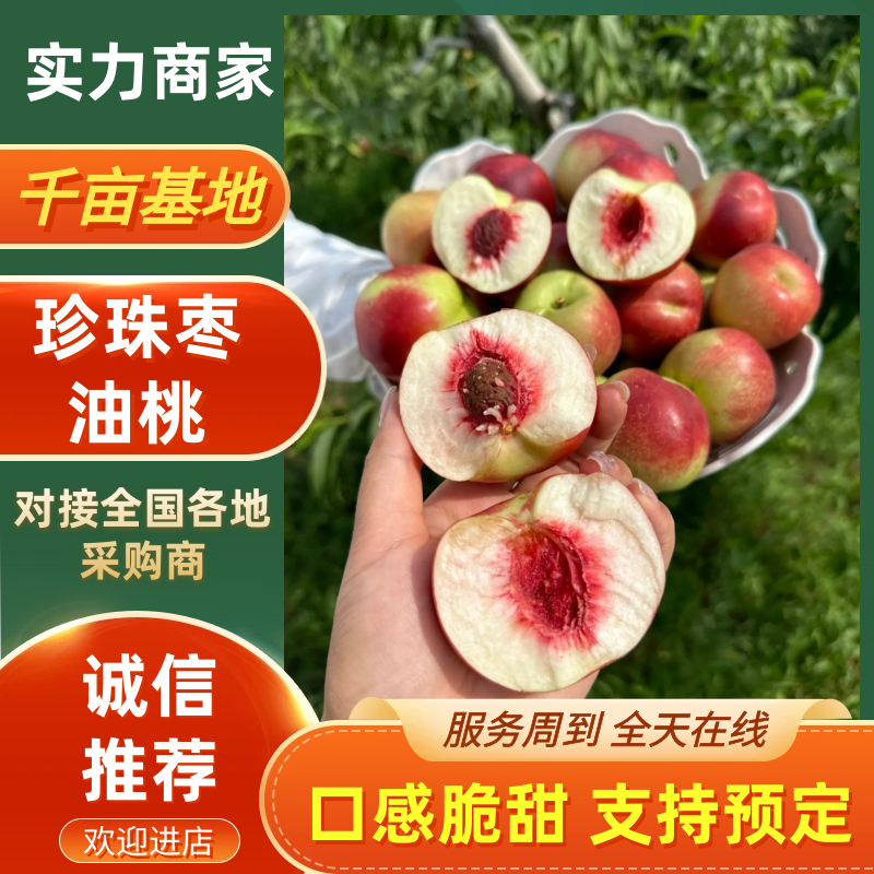 【实力供货】珍珠枣油桃山西桃子量大从优代发全国