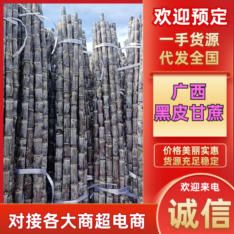 黑皮甘蔗广西甘蔗产地直发对接全国量大优惠品质保障