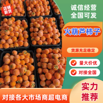 山西柿子火葫芦柿子货源充足品质保证放心购买